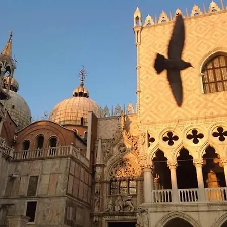 Buonanotte Venezia